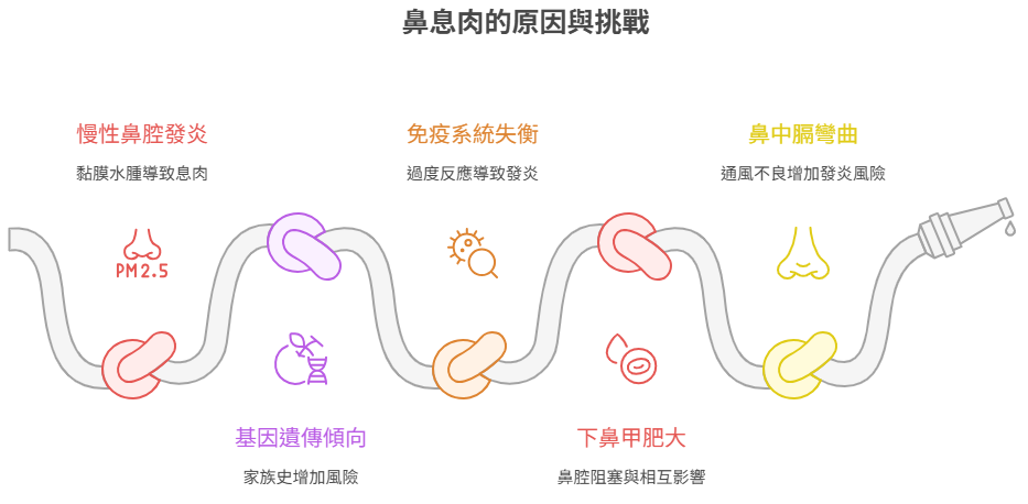 鼻息肉發生的原因