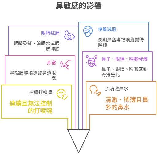 鼻敏感6大常見症狀