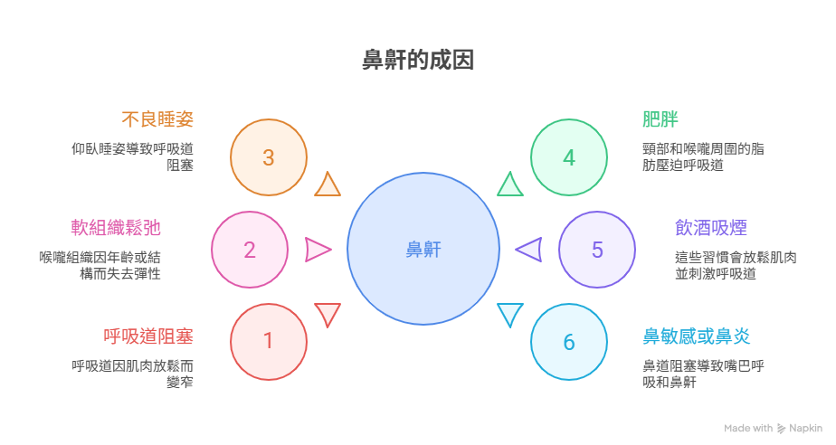 6個鼻鼾成因
