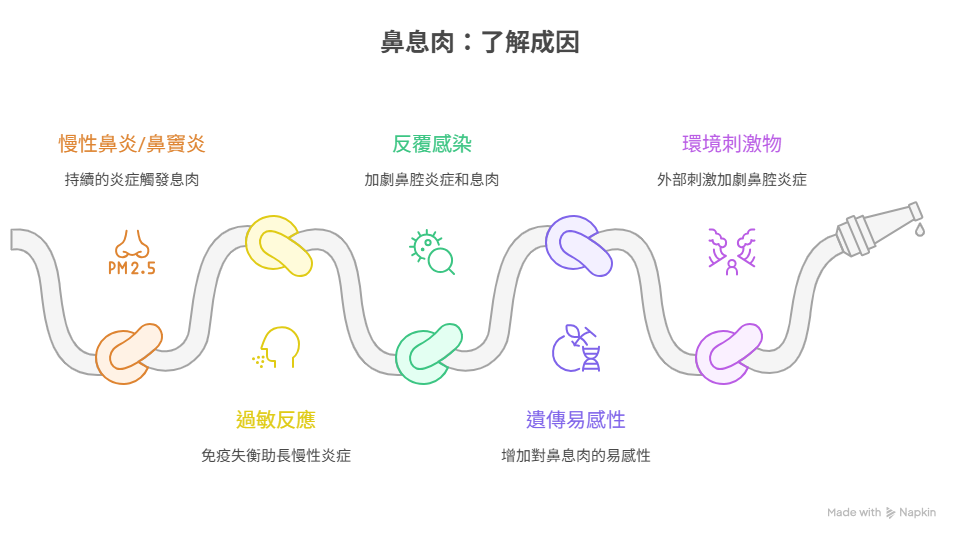 鼻息肉的成因