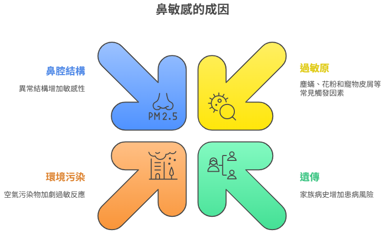 鼻敏感的成因