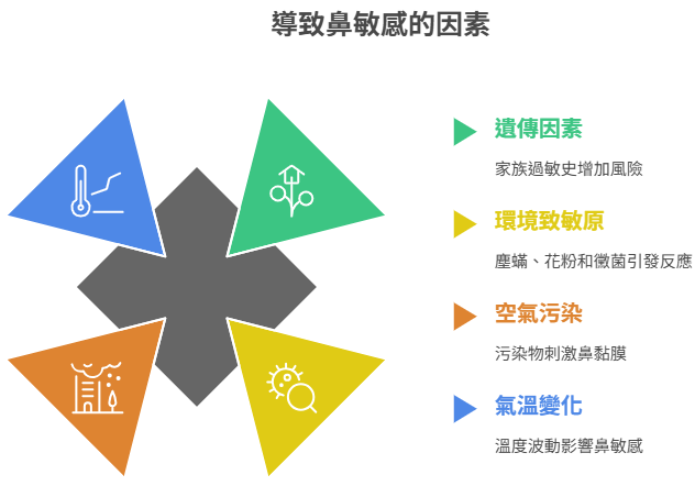 鼻敏感的常見原因
